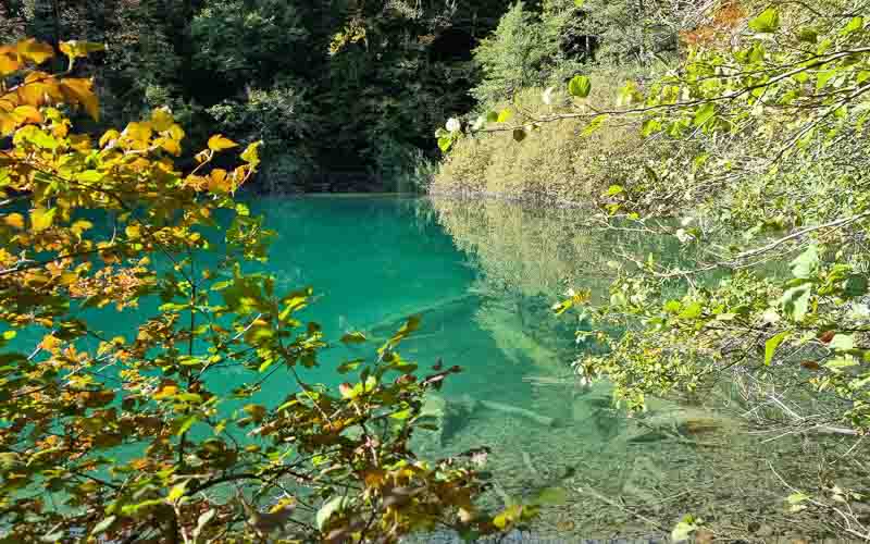rb_Degiorgi_RH243-30 Plitvice Nationalpark & der Schatz am Silbersee mit Daniele Degiorgi 33