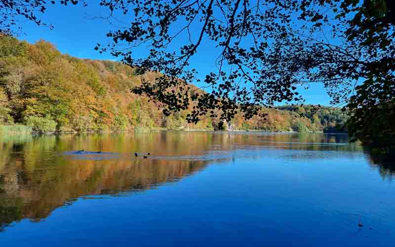 rb_Degiorgi_RH243-31 Plitvice Nationalpark & der Schatz am Silbersee mit Daniele Degiorgi 34