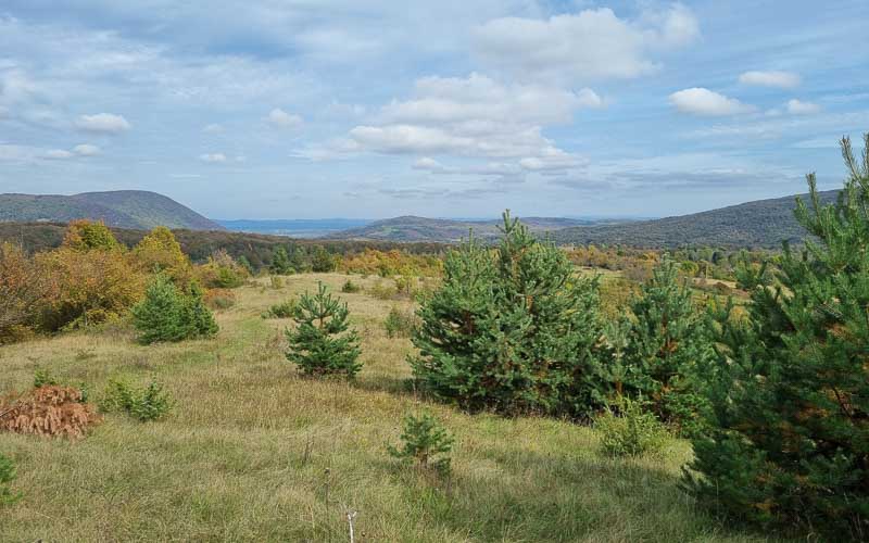 rb_Degiorgi_RH243-49 Plitvice Nationalpark & der Schatz am Silbersee mit Daniele Degiorgi 52