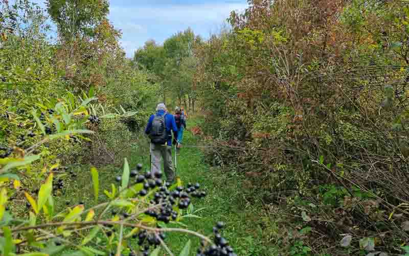 rb_Degiorgi_RH243-50 Plitvice Nationalpark & der Schatz am Silbersee mit Daniele Degiorgi 53