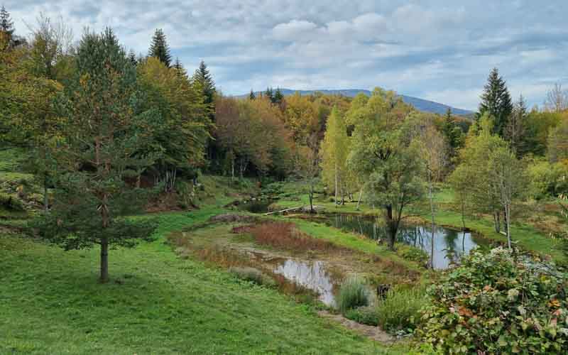 rb_Degiorgi_RH243-51 Plitvice Nationalpark & der Schatz am Silbersee mit Daniele Degiorgi 54