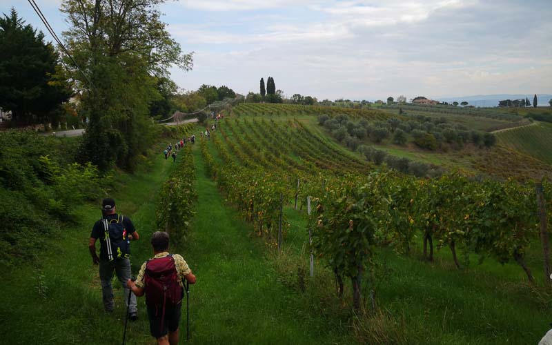 rb_Giovanoli_RH156-11 Von der Toskana zur Insel Elba 14