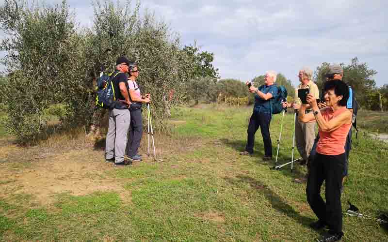rb_Giovanoli_RH156-12 Von der Toskana zur Insel Elba 15