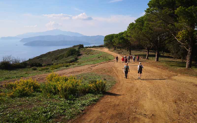 rb_Giovanoli_RH156-19 Von der Toskana zur Insel Elba 22