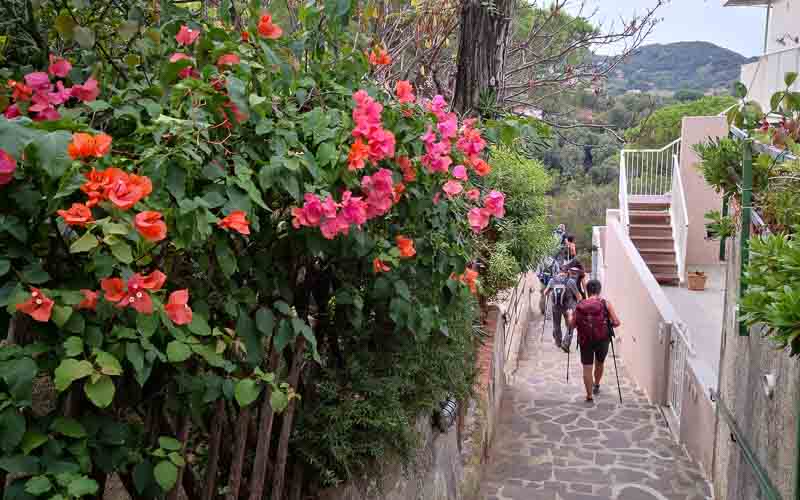 rb_Giovanoli_RH156-22 Von der Toskana zur Insel Elba 25