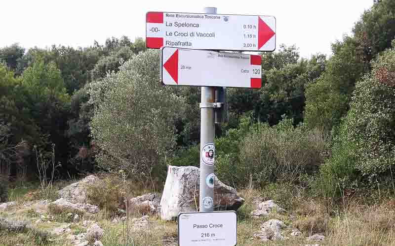 rb_Giovanoli_RH156-3 Von der Toskana zur Insel Elba 6