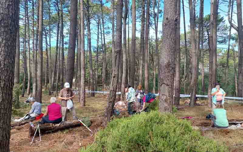 rb_Giovanoli_RH156-32 Von der Toskana zur Insel Elba 35