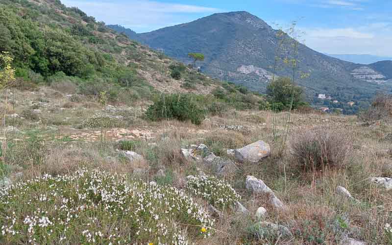 rb_Giovanoli_RH156-41 Von der Toskana zur Insel Elba 44