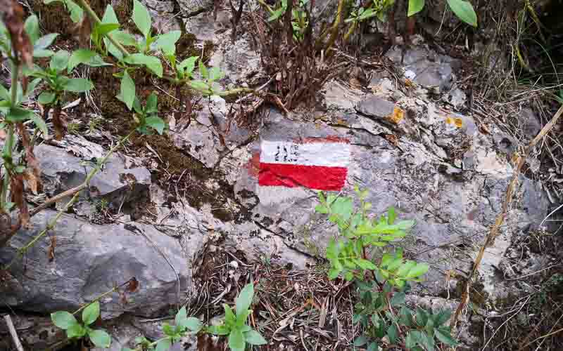 rb_Giovanoli_RH156-6 Von der Toskana zur Insel Elba 9