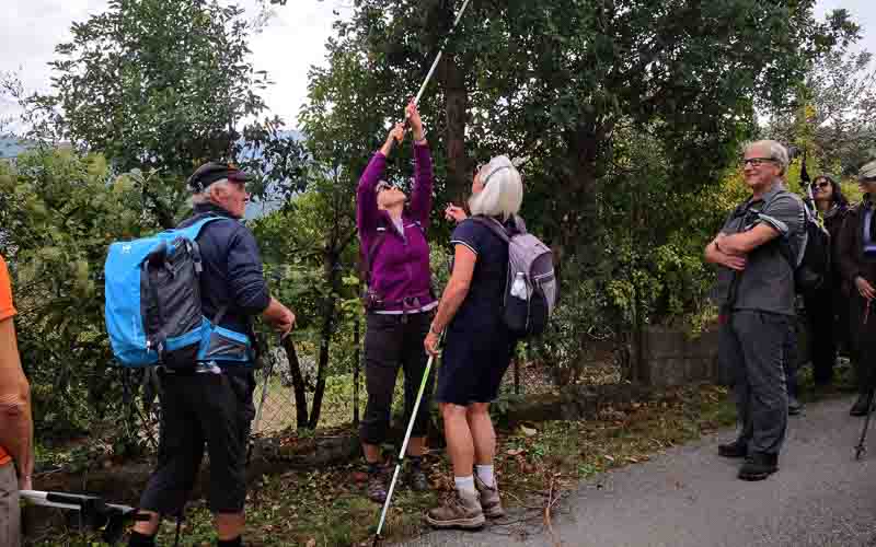 rb_Giovanoli_RH156-8 Von der Toskana zur Insel Elba 11