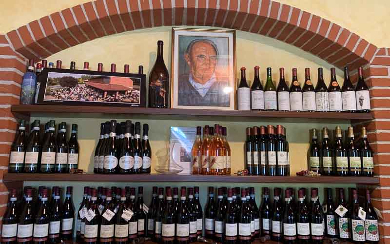 rb_Marti_RH311-15 Vom Berner Oberland ans Mittelmeer mit Irène Marti 18