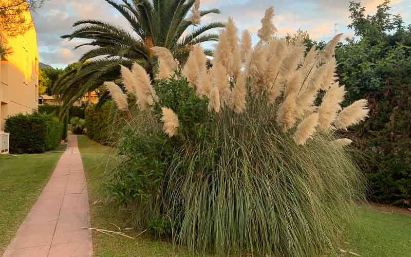 rb_Marti_RH311-24 Vom Berner Oberland ans Mittelmeer mit Irène Marti 27