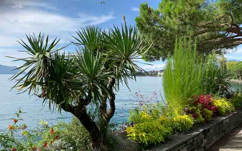 rb_Marti_RH311-6 Vom Berner Oberland ans Mittelmeer mit Irène Marti 9