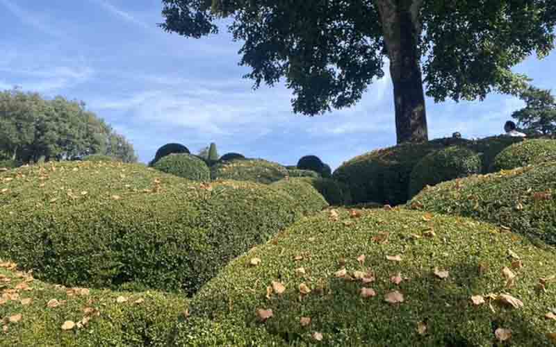 rb_coray_RH394-25 Fantastisches Perigord 27