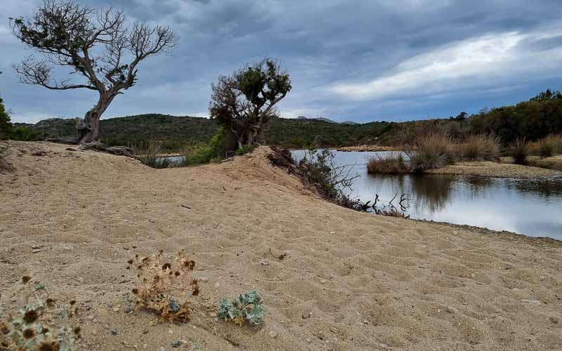 rb_degiorgi_RH181_-11 Küstenwandern auf Sardinien mit Daniele Degiorgi 14