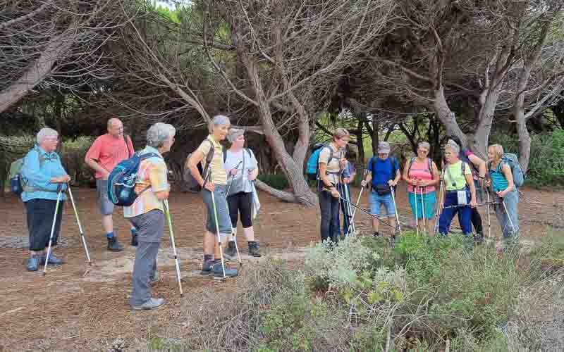 rb_degiorgi_RH181_-27 Küstenwandern auf Sardinien mit Daniele Degiorgi 30