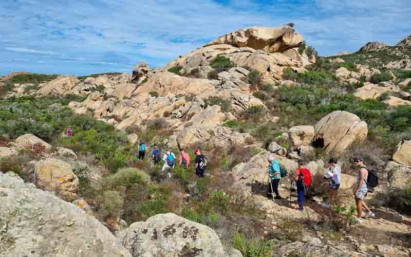 rb_degiorgi_RH181_-34 Küstenwandern auf Sardinien mit Daniele Degiorgi 37
