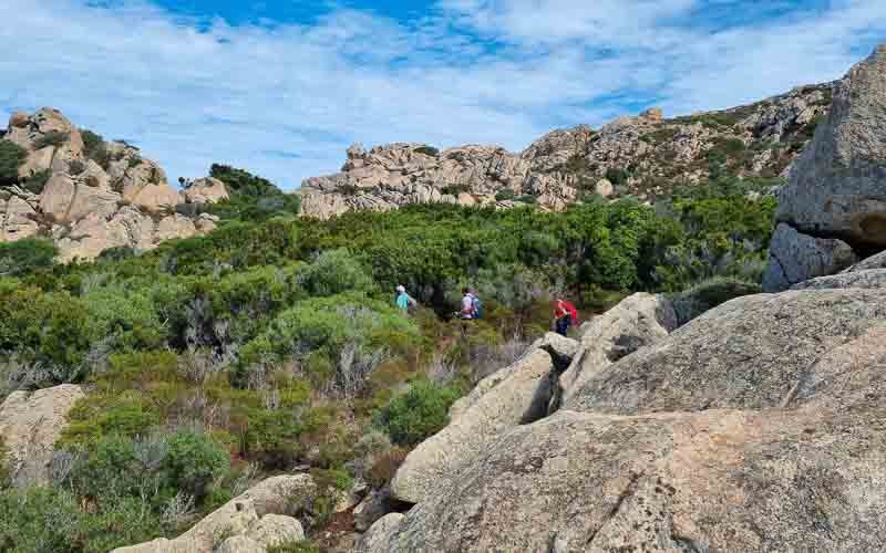 rb_degiorgi_RH181_-37 Küstenwandern auf Sardinien mit Daniele Degiorgi 40