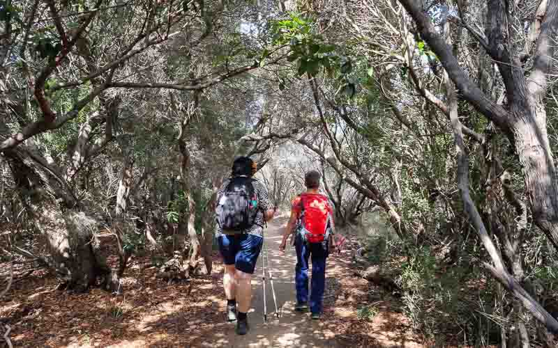 rb_degiorgi_RH181_-39 Küstenwandern auf Sardinien mit Daniele Degiorgi 42