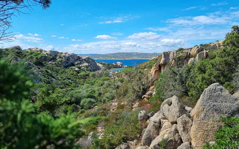 rb_degiorgi_RH181_-40 Küstenwandern auf Sardinien mit Daniele Degiorgi 43