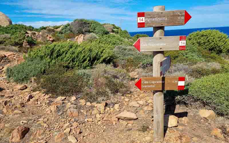 rb_degiorgi_RH181_-45 Küstenwandern auf Sardinien mit Daniele Degiorgi 48