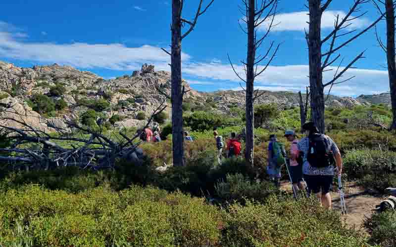 rb_degiorgi_RH181_-47 Küstenwandern auf Sardinien mit Daniele Degiorgi 50