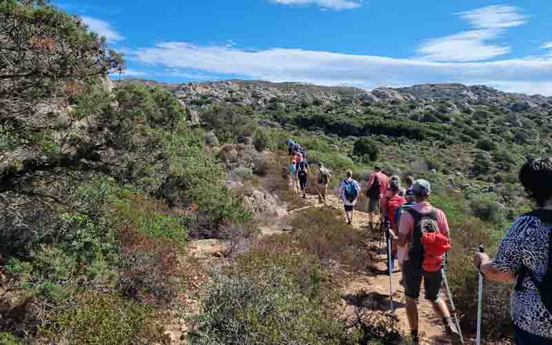 rb_degiorgi_RH181_-48 Küstenwandern auf Sardinien mit Daniele Degiorgi 51