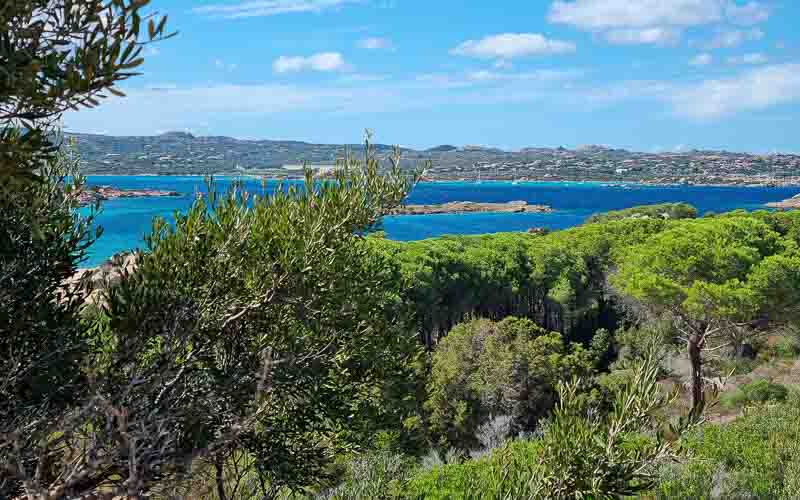rb_degiorgi_RH181_-50 Küstenwandern auf Sardinien mit Daniele Degiorgi 53