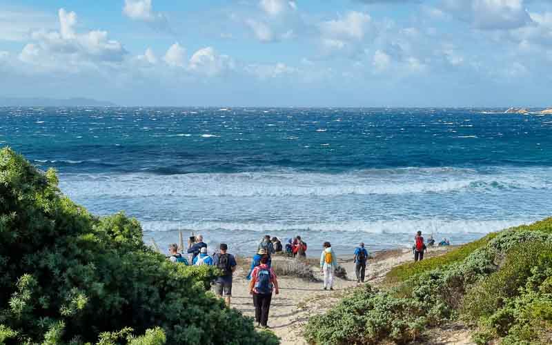 rb_degiorgi_RH181_-52 Küstenwandern auf Sardinien mit Daniele Degiorgi 55