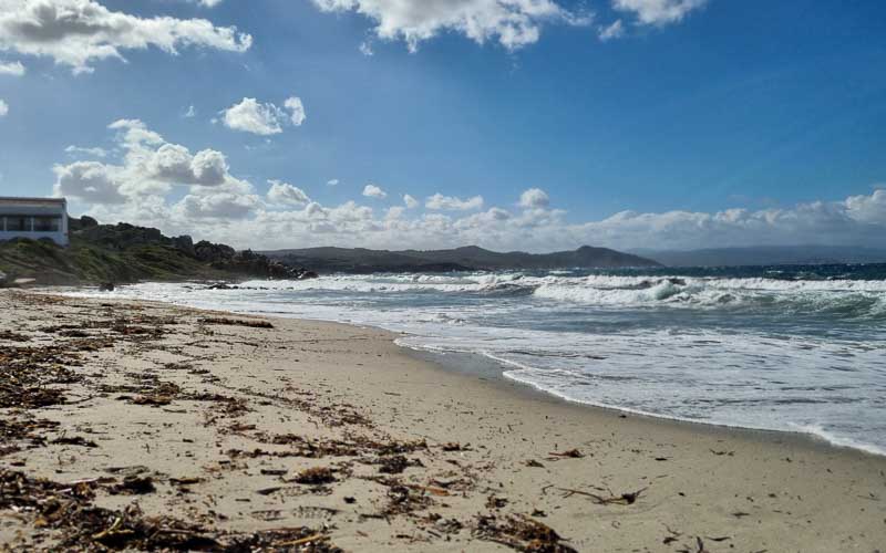 rb_degiorgi_RH181_-55 Küstenwandern auf Sardinien mit Daniele Degiorgi 58