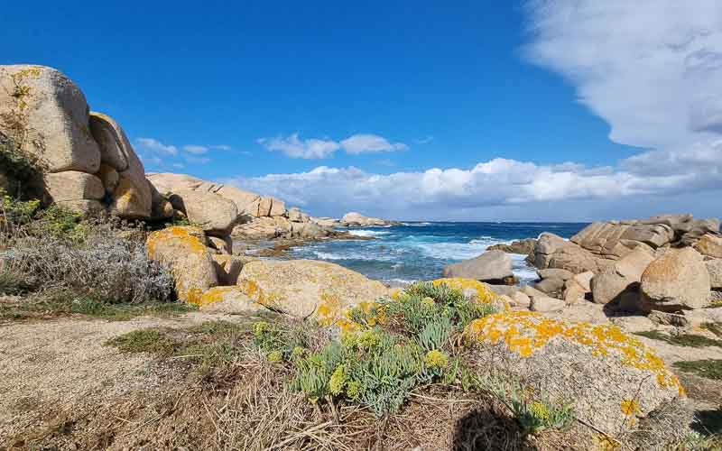 rb_degiorgi_RH181_-63 Küstenwandern auf Sardinien mit Daniele Degiorgi 66