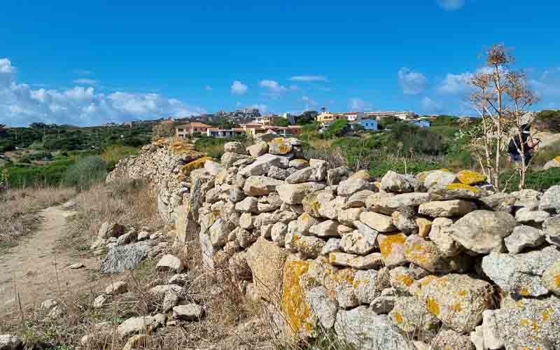 rb_degiorgi_RH181_-64 Küstenwandern auf Sardinien mit Daniele Degiorgi 67