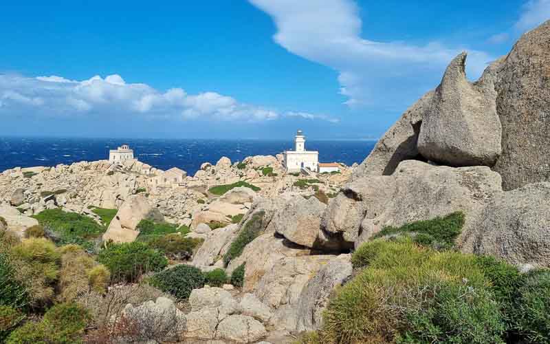 rb_degiorgi_RH181_-65 Küstenwandern auf Sardinien mit Daniele Degiorgi 68