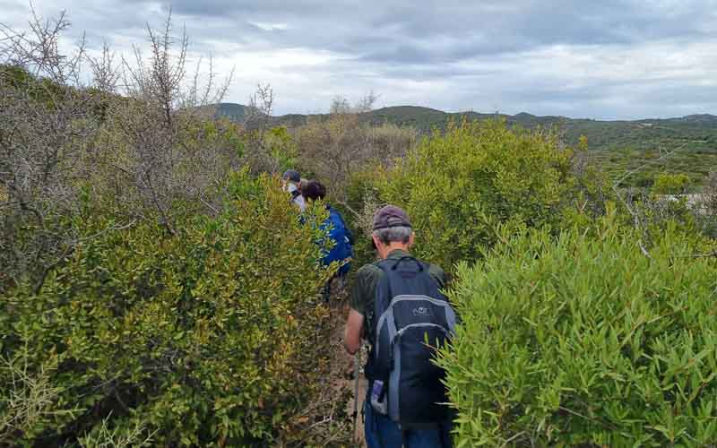 rb_degiorgi_RH181_-7 Küstenwandern auf Sardinien mit Daniele Degiorgi 10