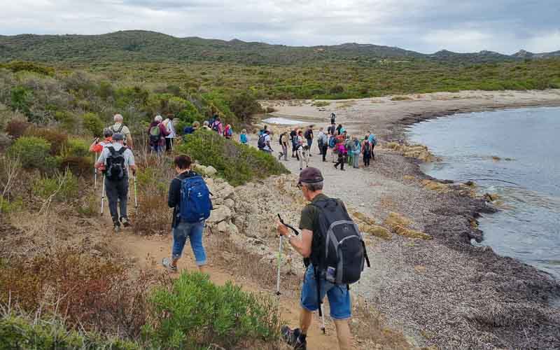 rb_degiorgi_RH181_-8 Küstenwandern auf Sardinien mit Daniele Degiorgi 11