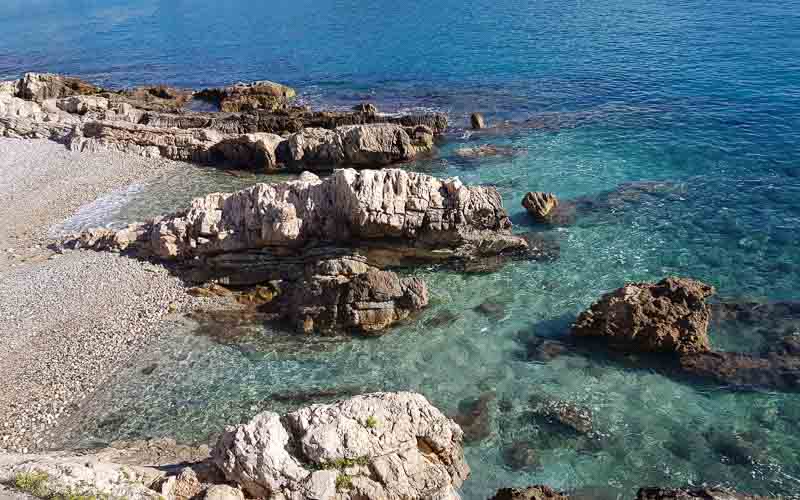 rb_raimann_dwablum-1 Wandern an der Blumenriviera mit Isabella Raimann 3