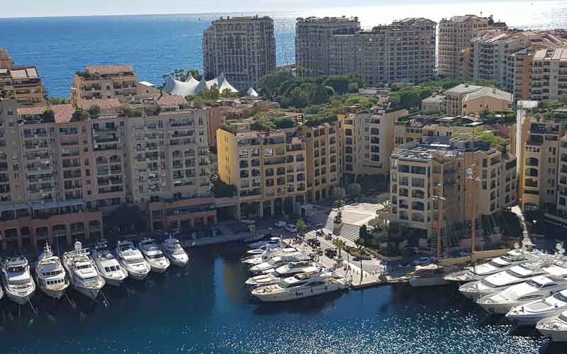 rb_raimann_dwablum-17 Wandern an der Blumenriviera mit Isabella Raimann 19