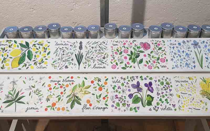 rb_raimann_dwablum-20 Wandern an der Blumenriviera mit Isabella Raimann 22