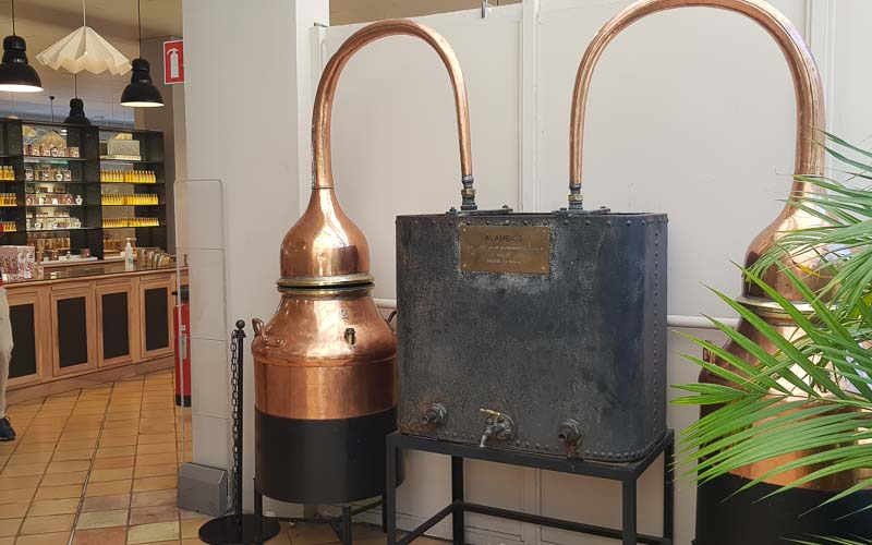 rb_raimann_dwablum-23 Wandern an der Blumenriviera mit Isabella Raimann 25