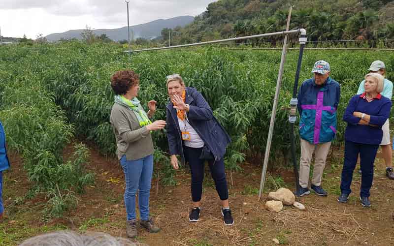 rb_raimann_dwablum-26 Wandern an der Blumenriviera mit Isabella Raimann 28