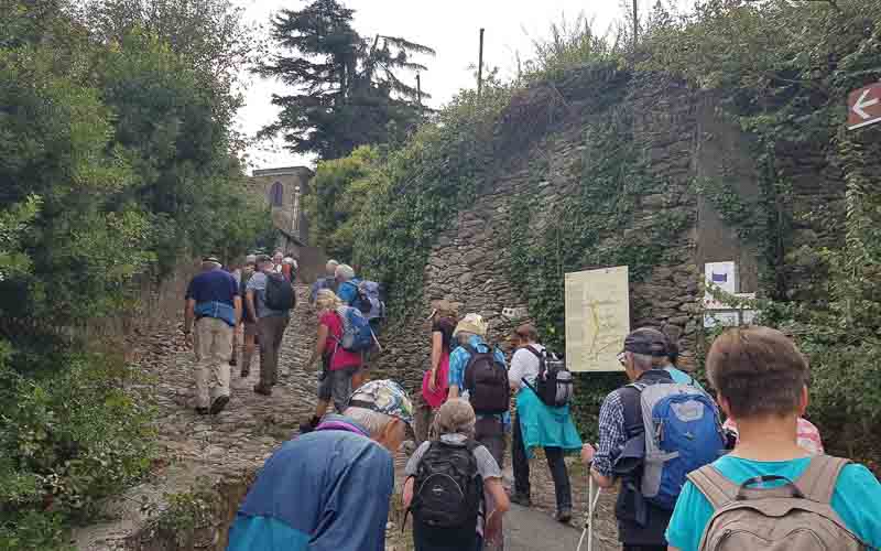 rb_raimann_dwablum-35 Wandern an der Blumenriviera mit Isabella Raimann 37