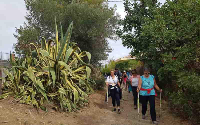 rb_raimann_dwablum-37 Wandern an der Blumenriviera mit Isabella Raimann 39