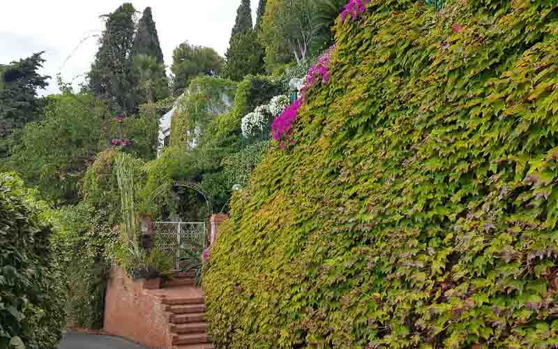 rb_raimann_dwablum-42 Wandern an der Blumenriviera mit Isabella Raimann 44