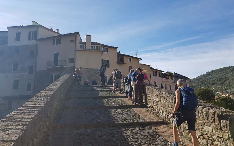 rb_raimann_dwablum-47 Wandern an der Blumenriviera mit Isabella Raimann 49