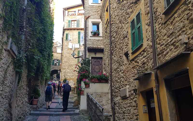 rb_raimann_dwablum-48 Wandern an der Blumenriviera mit Isabella Raimann 50