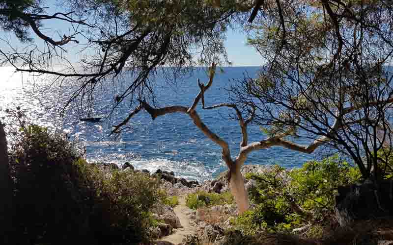 rb_raimann_dwablum-5 Wandern an der Blumenriviera mit Isabella Raimann 7