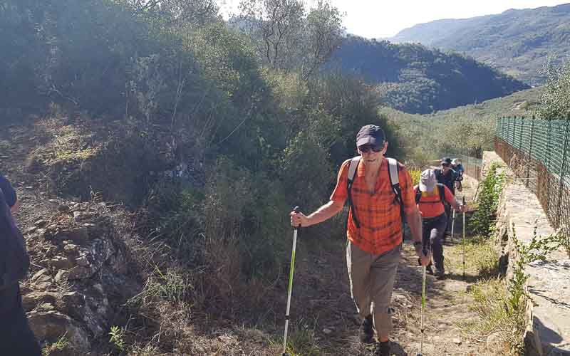 rb_raimann_dwablum-50 Wandern an der Blumenriviera mit Isabella Raimann 52