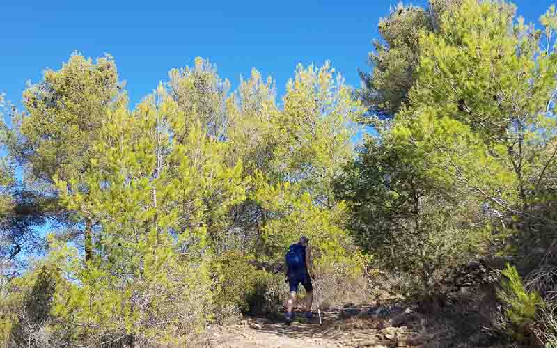 rb_raimann_dwablum-52 Wandern an der Blumenriviera mit Isabella Raimann 54