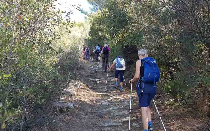 rb_raimann_dwablum-53 Wandern an der Blumenriviera mit Isabella Raimann 55