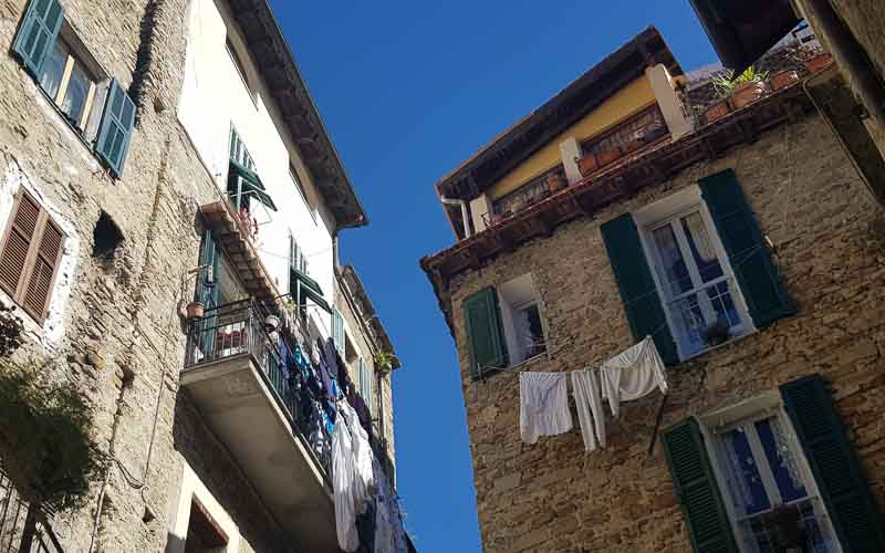 rb_raimann_dwablum-59 Wandern an der Blumenriviera mit Isabella Raimann 61